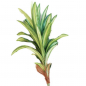 Preview: Palme 60 cm aus Kunstgrün